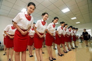 廣告設(shè)計中的服務禮儀規(guī)范 專業(yè)形象與客戶信任的基石