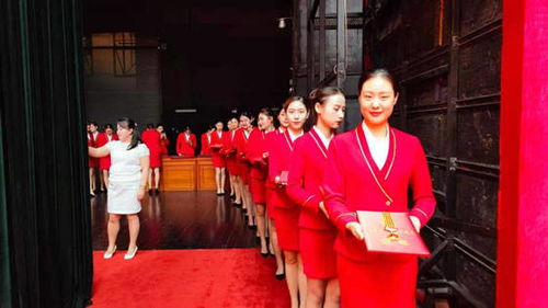 洛陽職業(yè)技術(shù)學院禮儀隊圓滿完成洛陽市七一表彰大會頒獎禮儀服務與軟件開發(fā)