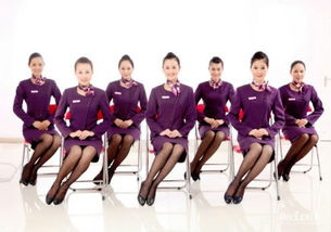 提升服務質(zhì)量 軟件開發(fā)領(lǐng)域的服務禮儀培訓